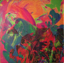 Load image into Gallery viewer, Feist | Pleasure (New)