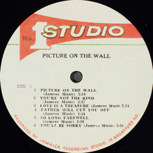 Load image into Gallery viewer, Freddie McKay | Picture On The Wall (New)