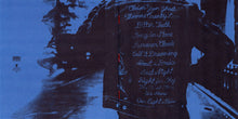 Load image into Gallery viewer, Iron And Wine | Beast Epic (New)