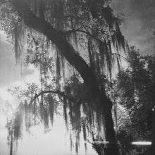 Load image into Gallery viewer, Beyoncé | Lemonade (New)