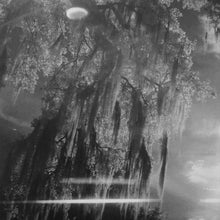 Load image into Gallery viewer, Beyoncé | Lemonade (New)