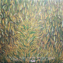 Load image into Gallery viewer, Iron And Wine | Our Endless Numbered Days (New)