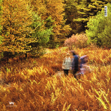 Load image into Gallery viewer, Yo La Tengo | There's A Riot Going On (New)