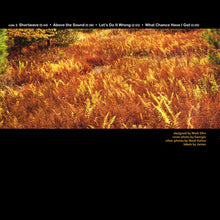 Load image into Gallery viewer, Yo La Tengo | There's A Riot Going On (New)