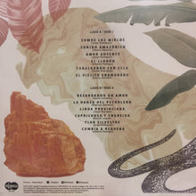 Load image into Gallery viewer, Los Mirlos | Los Charapas De Oro (New)