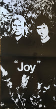 Load image into Gallery viewer, Ty Segall | Joy (New)