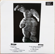 Load image into Gallery viewer, Bikini Kill | The Singles (New)