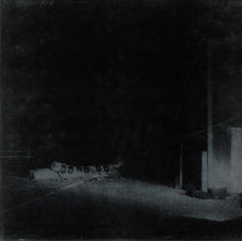 Load image into Gallery viewer, Cloud Nothings | Last Building Burning (New)