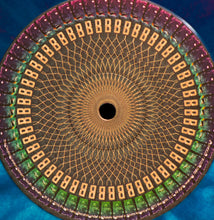 Load image into Gallery viewer, The Claypool Lennon Delirium | South Of Reality (New)