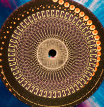 Load image into Gallery viewer, The Claypool Lennon Delirium | South Of Reality (New)