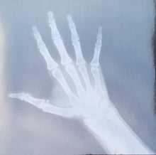 Load image into Gallery viewer, The Brian Jonestown Massacre | The Brian Jonestown Massacre (New)