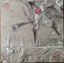 Load image into Gallery viewer, Stephen Malkmus | Groove Denied (New)