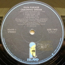 Load image into Gallery viewer, Rain Parade | Crashing Dream