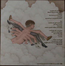 Load image into Gallery viewer, Bill Callahan | Shepherd In A Sheepskin Vest (New)