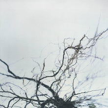 Load image into Gallery viewer, Yutaka Hirose | Nova +4 (New)
