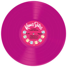 Load image into Gallery viewer, The Flamin' Groovies | Flamingo (New)