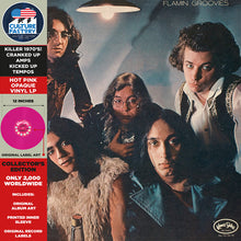 Load image into Gallery viewer, The Flamin' Groovies | Flamingo (New)