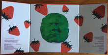 Load image into Gallery viewer, Ty Segall | First Taste (New)