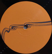 Load image into Gallery viewer, Stereolab | Cobra And Phases Group Play Voltage In The Milky Night (New)