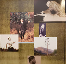 Load image into Gallery viewer, Ben Harper | Welcome To The Cruel World (New)