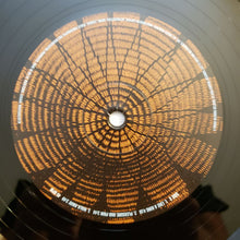 Load image into Gallery viewer, Ben Harper | Welcome To The Cruel World (New)