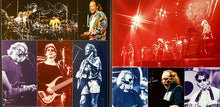 Load image into Gallery viewer, The Grateful Dead | Ready Or Not (New)