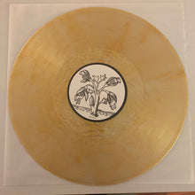 Load image into Gallery viewer, Guided By Voices | Vampire On Titus (New)