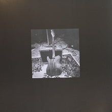 Load image into Gallery viewer, Bruce Springsteen | Letter To You (New)