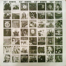 Load image into Gallery viewer, Jerry Cole & The Stingers | Guitars A Go-Go! (New)