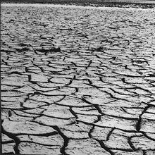 Load image into Gallery viewer, The Beach Boys | Surf's Up (New)