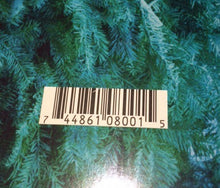 Load image into Gallery viewer, Jay Reatard | Watch Me Fall (New)