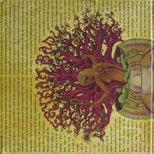Load image into Gallery viewer, Erykah Badu | New Amerykah Part Two: Return Of The Ankh (New)