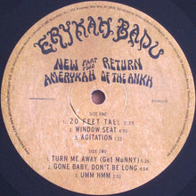 Load image into Gallery viewer, Erykah Badu | New Amerykah Part Two: Return Of The Ankh (New)