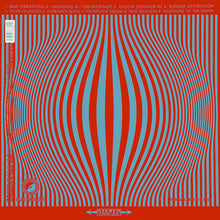 Load image into Gallery viewer, The Black Angels | Phosphene Dream (New)