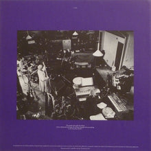 Load image into Gallery viewer, Paul McCartney | Flowers In The Dirt