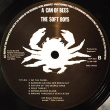 Load image into Gallery viewer, The Soft Boys | A Can Of Bees (New)