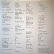 Load image into Gallery viewer, PJ Harvey | Let England Shake (New)