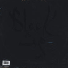 Load image into Gallery viewer, Shabazz Palaces | Black Up (New)