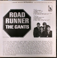 Load image into Gallery viewer, The Gants | Road Runner