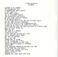 Load image into Gallery viewer, Thurston Moore | Demolished Thoughts (New)