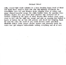 Load image into Gallery viewer, Thurston Moore | Demolished Thoughts (New)