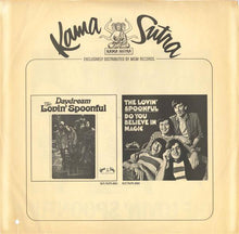Load image into Gallery viewer, The Lovin' Spoonful | Everything Playing