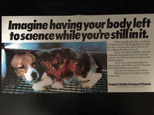 Load image into Gallery viewer, Various | Animal Liberation
