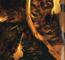Load image into Gallery viewer, Nine Inch Nails | The Downward Spiral
