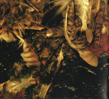 Load image into Gallery viewer, Nine Inch Nails | The Downward Spiral
