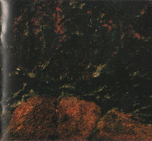 Load image into Gallery viewer, Nine Inch Nails | The Downward Spiral