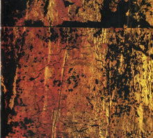 Load image into Gallery viewer, Nine Inch Nails | The Downward Spiral