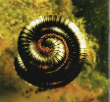 Load image into Gallery viewer, Nine Inch Nails | The Downward Spiral
