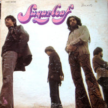 Load image into Gallery viewer, Sugarloaf | Sugarloaf