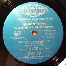 Load image into Gallery viewer, Bubble Puppy | A Gathering Of Promises (New)